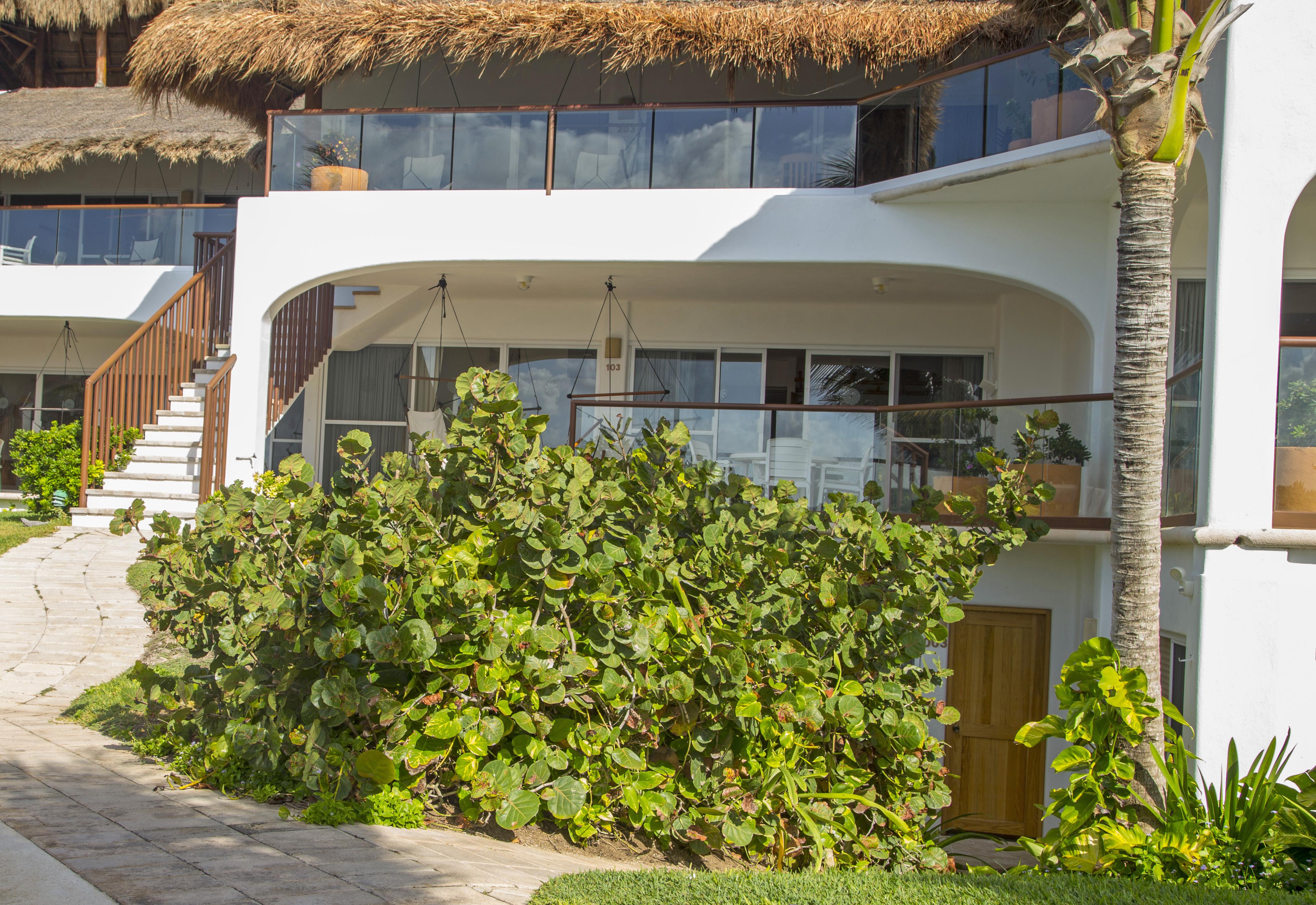 Las Villas Akumal Exterior foto